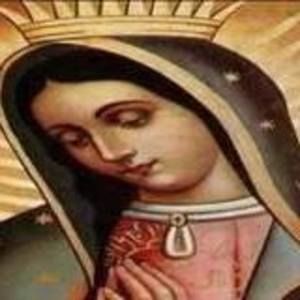 Meet your Posher, Vicky